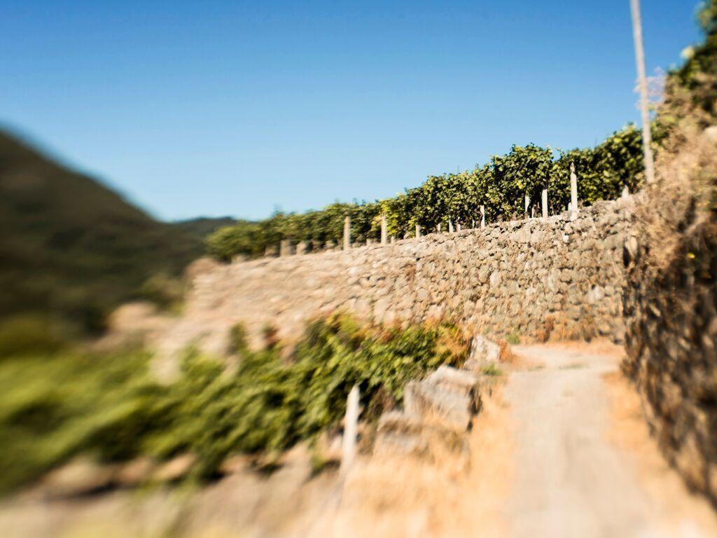 Aldea Rural Pazos De Arenteiro 게스트하우스 외부 사진