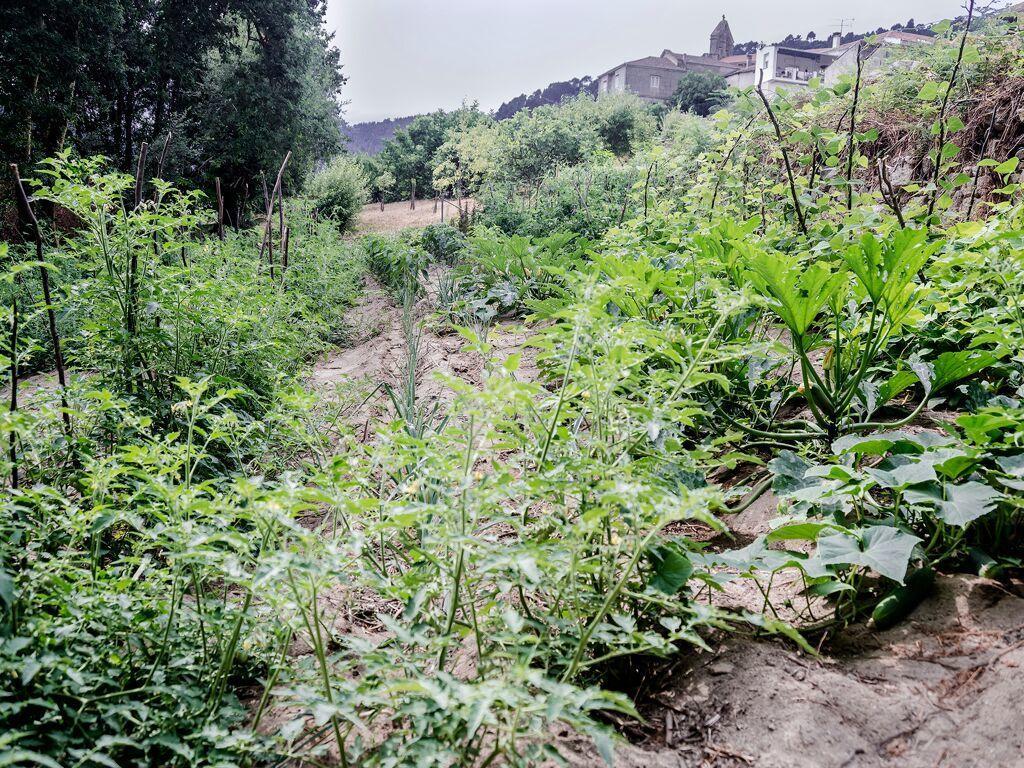 Aldea Rural Pazos De Arenteiro 게스트하우스 외부 사진